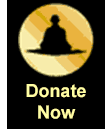 donate_now_button